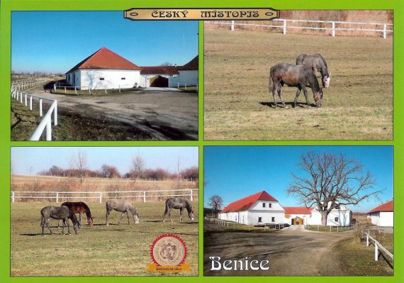 0175-Benice