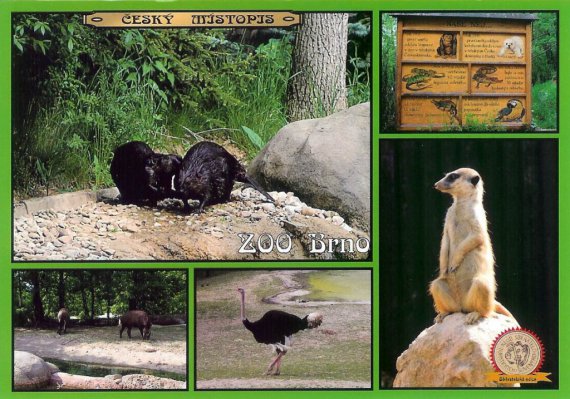 0189   ZOO Brno