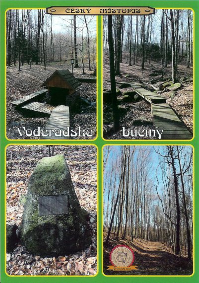 0212-Voděradské Bučiny