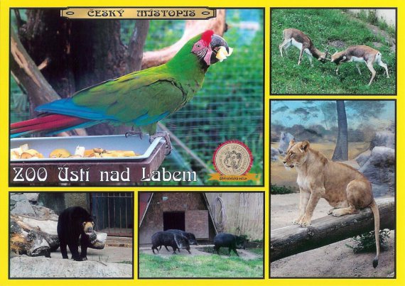 0229   ZOO Ústí nad Labem