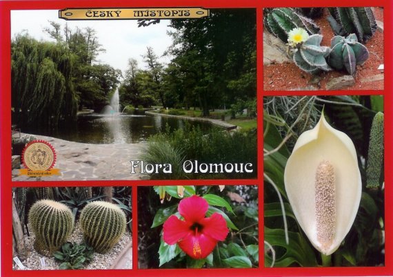 0266-Flora Olomouc