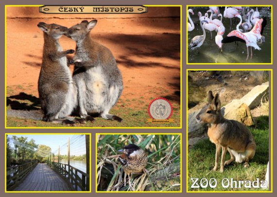 0347 ZOO Ohrada 1