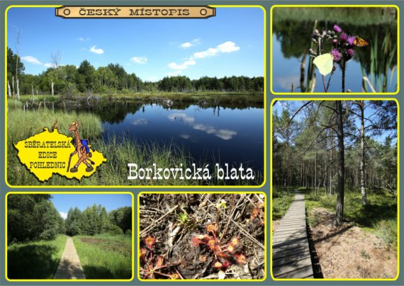 0706-Borkovická blata