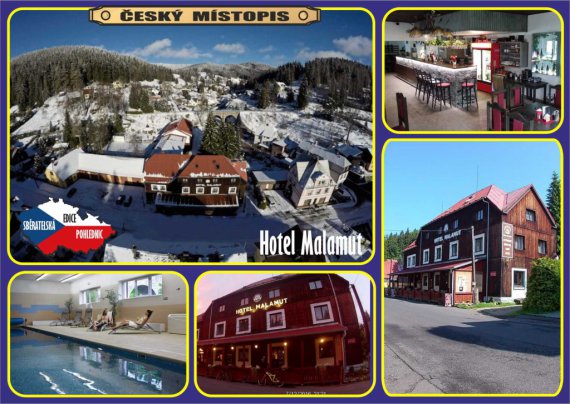 1287-Hotel Malamut