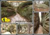1227 Toulovcovy maštale (vyprodáno)