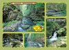 1132 udoli doubravy 