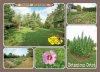 1133 botanicus ostra 2 