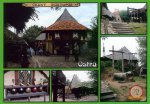 0185-Botanicus Ostrá ( vyprodáno )