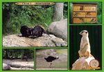 0189-ZOO Brno