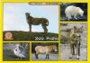 0272-ZOO Praha