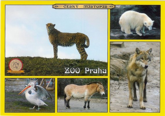 0272 - ZOO Praha