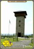 0715-U Borovice