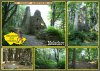 0716-Melechov